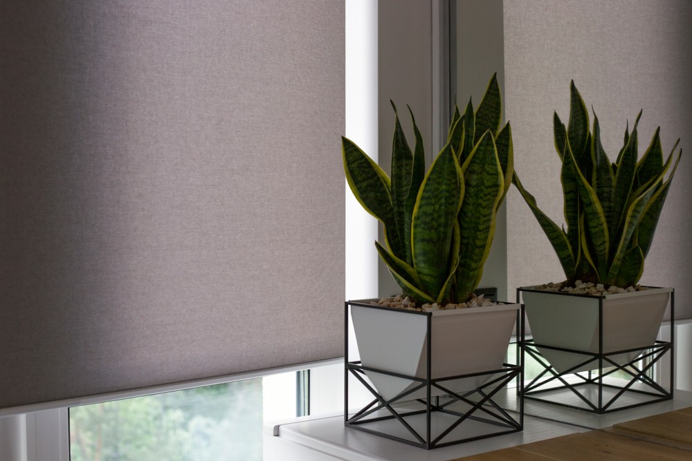 Roller Shades